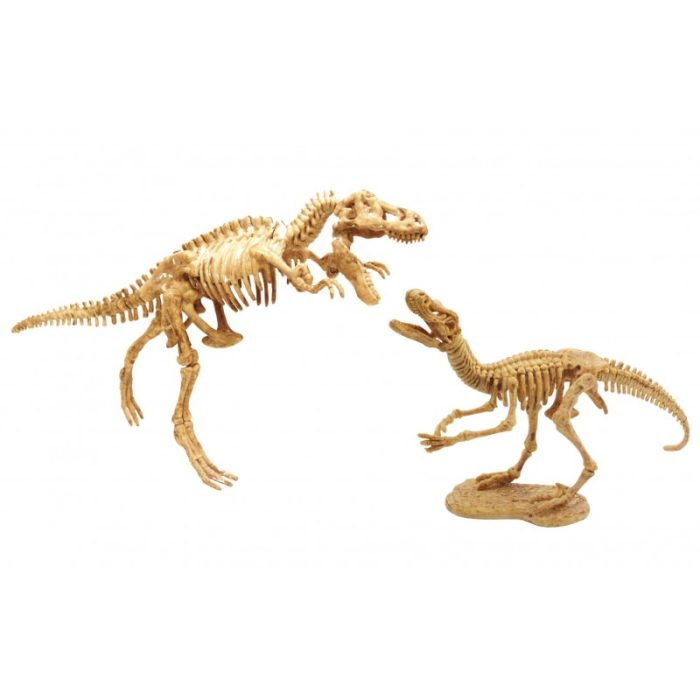 Buki® Set za izkopavanje okostja Dino Dig