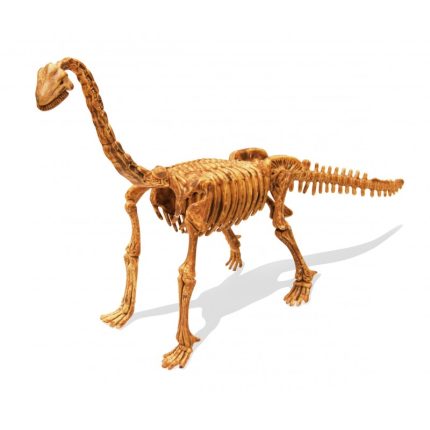 Buki® Set za izkopavanje okostja DinoKit Stegosaure