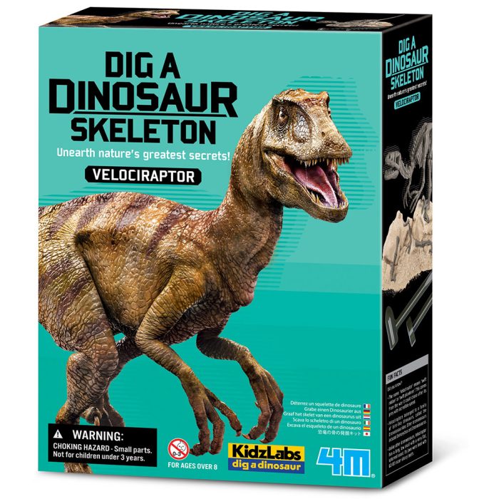 4M Dinozaver Velociraptor